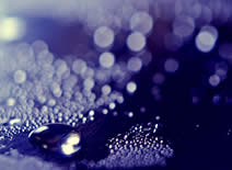 Usos y caracter�sticas de la hidromancia en los videntes